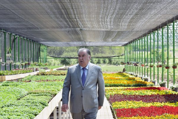 sahroi.jpg sahroi.jpg